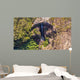 Carrington Falls Wall Mural