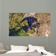 Carrington Falls Wall Mural