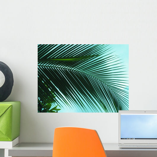 Palm on sky background leaf Wall Mural