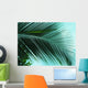 Palm on sky background leaf Wall Mural
