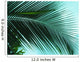 Palm on sky background leaf Wall Mural