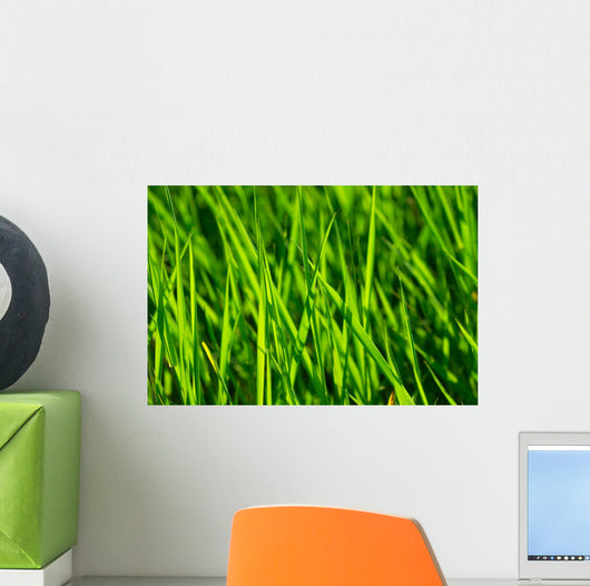 Grass Wall Mural