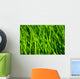 Grass Wall Mural