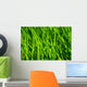 Grass Wall Mural