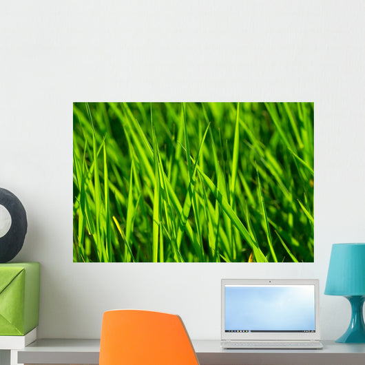 Grass Wall Mural