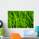 Grass Wall Mural