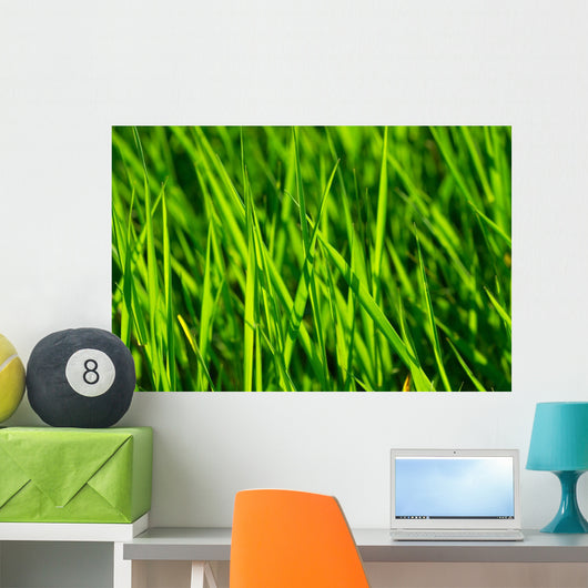 Grass Wall Mural