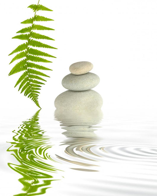 Zen Elements Wall Mural