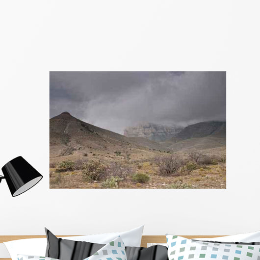 Guadalupe Mountains Wall Mural