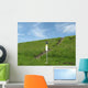 Soil Hands Stay Wall Decal