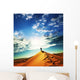 Hike Desert Wall Decal Design 1