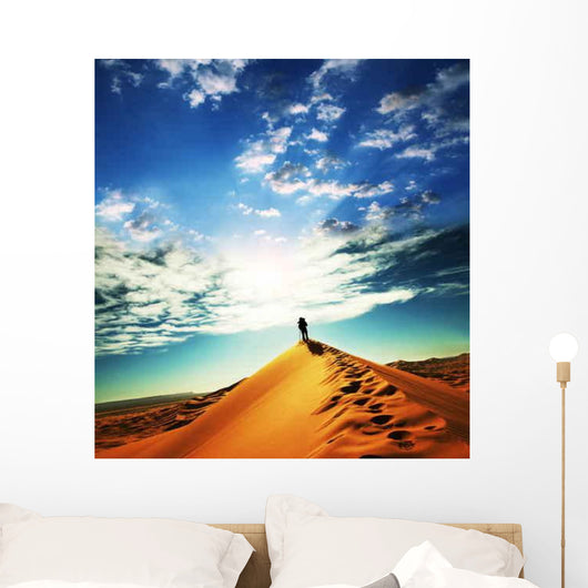 Hike Desert Wall Decal Design 1