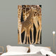 Baby Giraffe Wall Mural