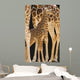 Baby Giraffe Wall Mural