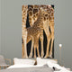 Baby Giraffe Wall Mural