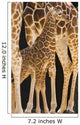 Baby Giraffe Wall Mural