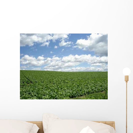 Field Biei Wall Decal