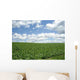 Field Biei Wall Decal