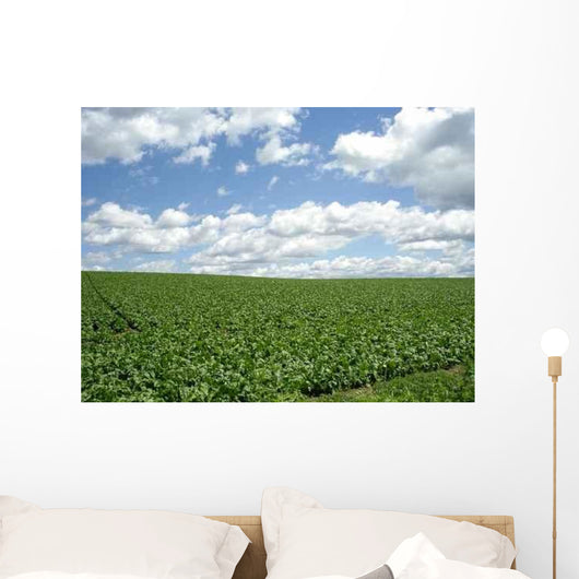 Field Biei Wall Decal