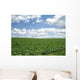 Field Biei Wall Decal
