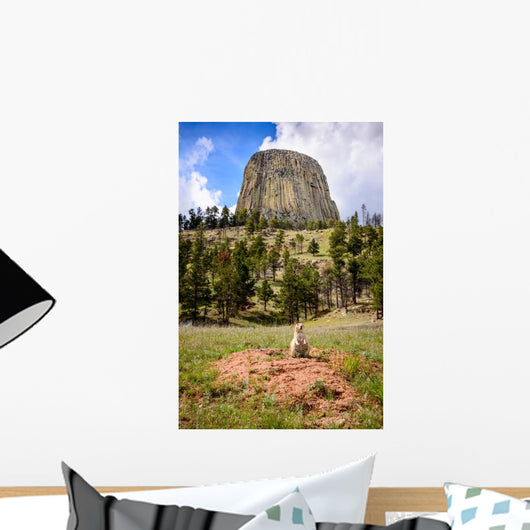 Devils Tower Wall Decal