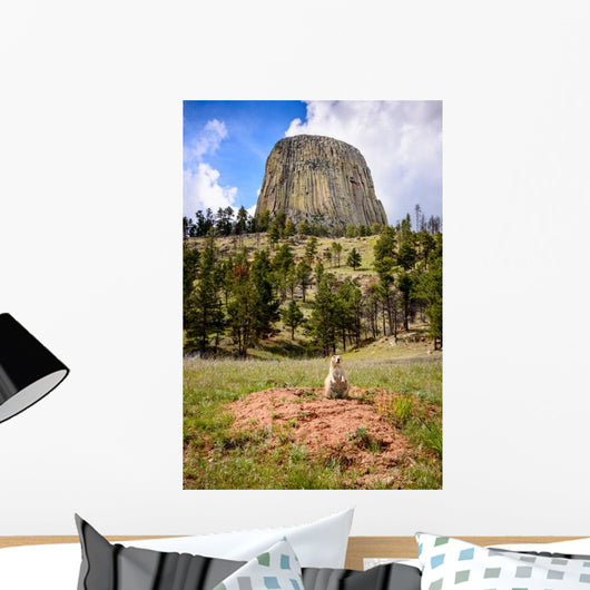 Devils Tower Wall Decal
