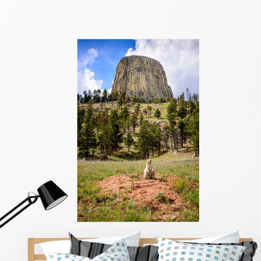 Devils Tower Wall Decal