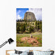 Devils Tower Wall Decal