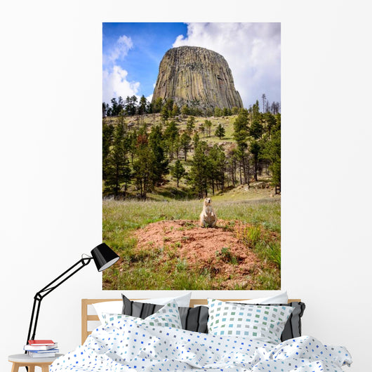 Devils Tower Wall Decal
