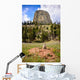 Devils Tower Wall Decal