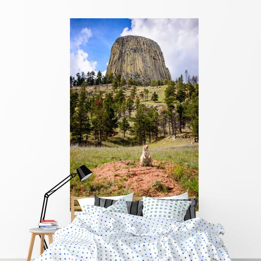 Devils Tower Wall Decal