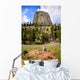 Devils Tower Wall Decal