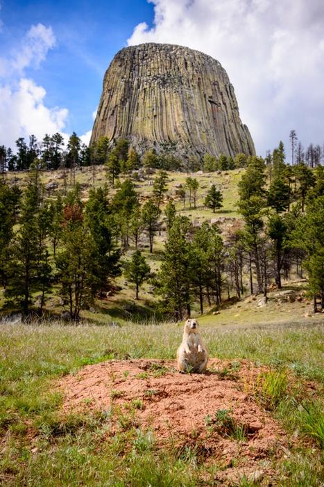 Devils Tower Wall Decal