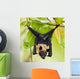Fruit Bat Hanging in Tree Wall Mural