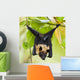 Fruit Bat Hanging in Tree Wall Mural
