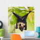 Fruit Bat Hanging in Tree Wall Mural