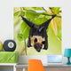 Fruit Bat Hanging in Tree Wall Mural