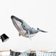 Humpback Whale Wall Decal