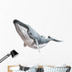 Humpback Whale Wall Decal
