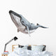 Humpback Whale Wall Decal
