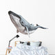 Humpback Whale Wall Decal