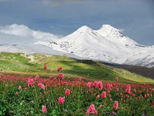 Mountains Caucasus Wall Decal