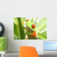 Frog in a Plant Wall Mural
