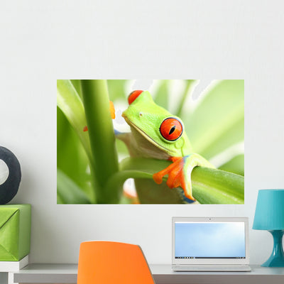 Frog Plant Wall Mural shown on a wall