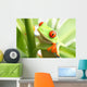 Frog in a Plant Wall Mural