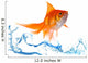 Gold fish. Isolation on white Wall Decal