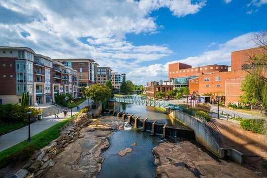 Reedy River Downtown Greenville Wall Decal