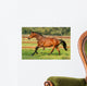 Pferd - Galopp Wall Mural