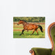 Pferd - Galopp Wall Mural