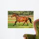 Pferd - Galopp Wall Mural